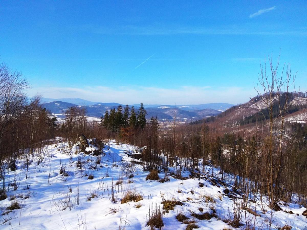 Pod Klonem Z Balia I Sauna Lubawka Buitenkant foto